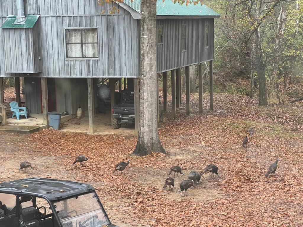 Scenic 98 Coastal Goin' up the Country, Boligee, Alabama, and the